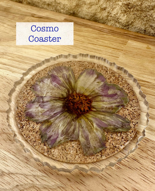 Coaster _ Cosmo