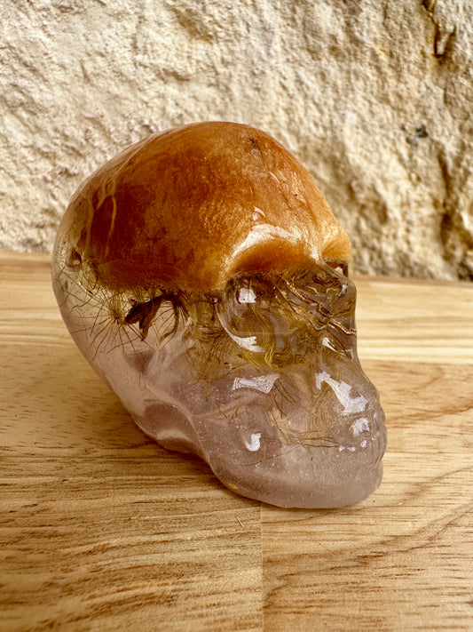 Skull _ Dandelion