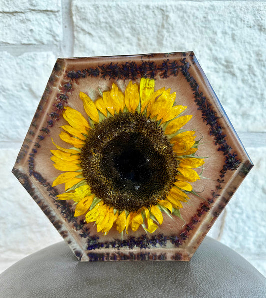 Hexagon _ Sunflower